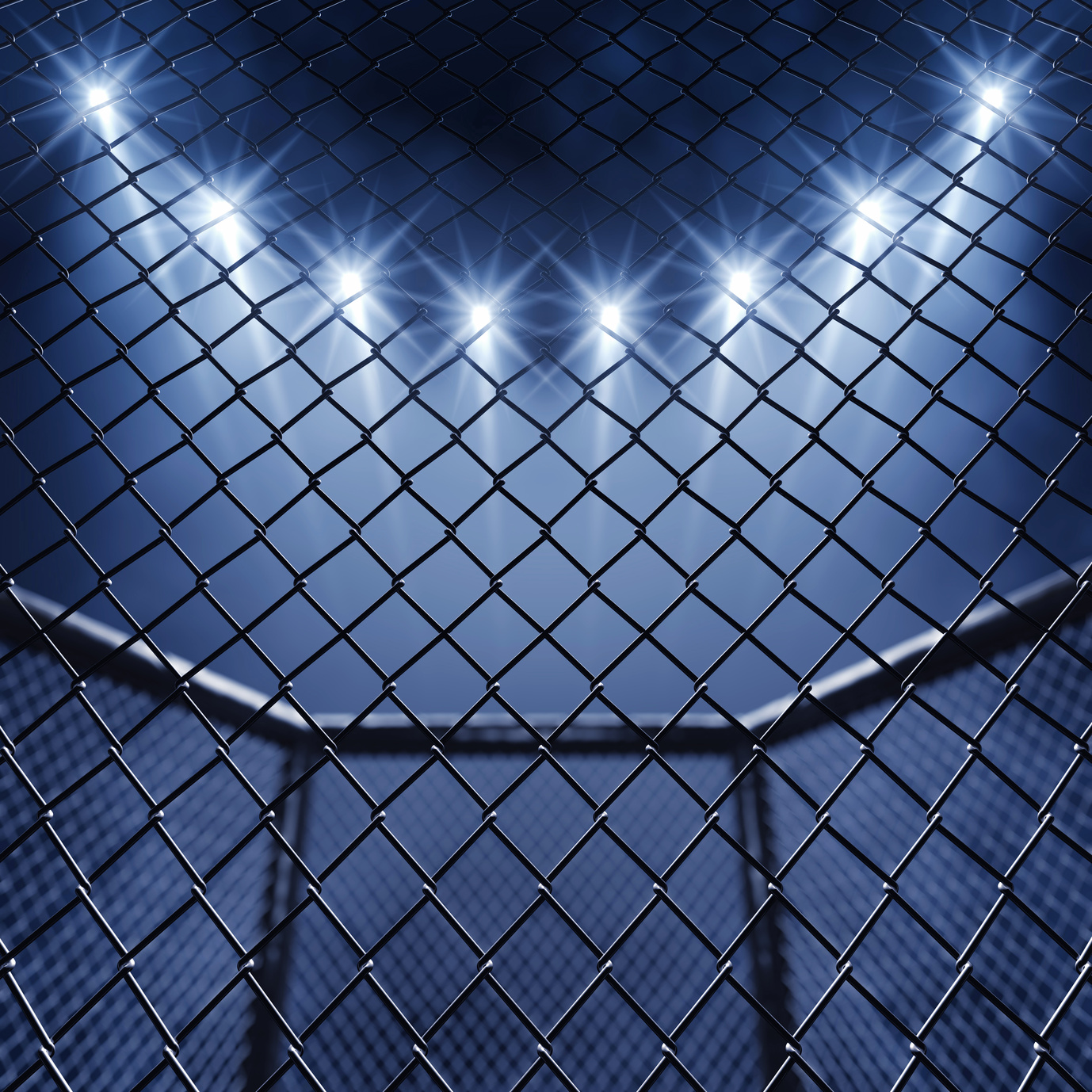 MMA cage and floodlights
